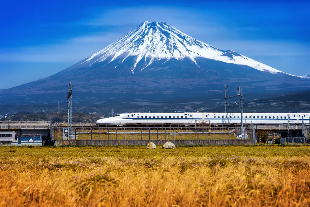 A white Shinkansen bullet train speeding past a rice field with a snow-capped Mount Fuji in the background against a clear blue sky.