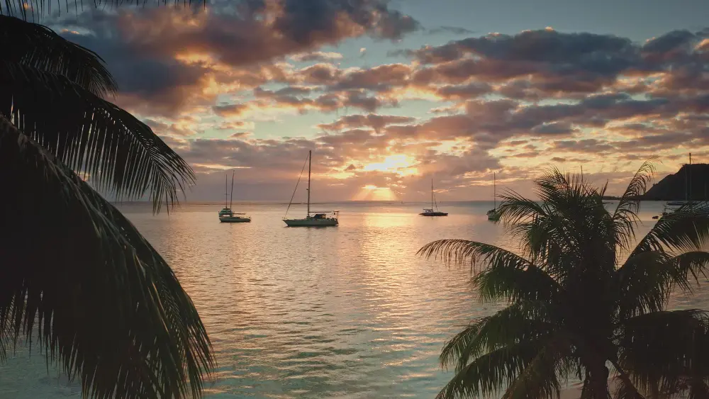 Traveler reviewing cruise ports and calendar while using a carnival vacation planner to choose the right itinerary and duration