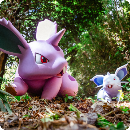 Pokémon Forest area at PokéPark KANTO showing Pokémon figures placed naturally along a forest trail