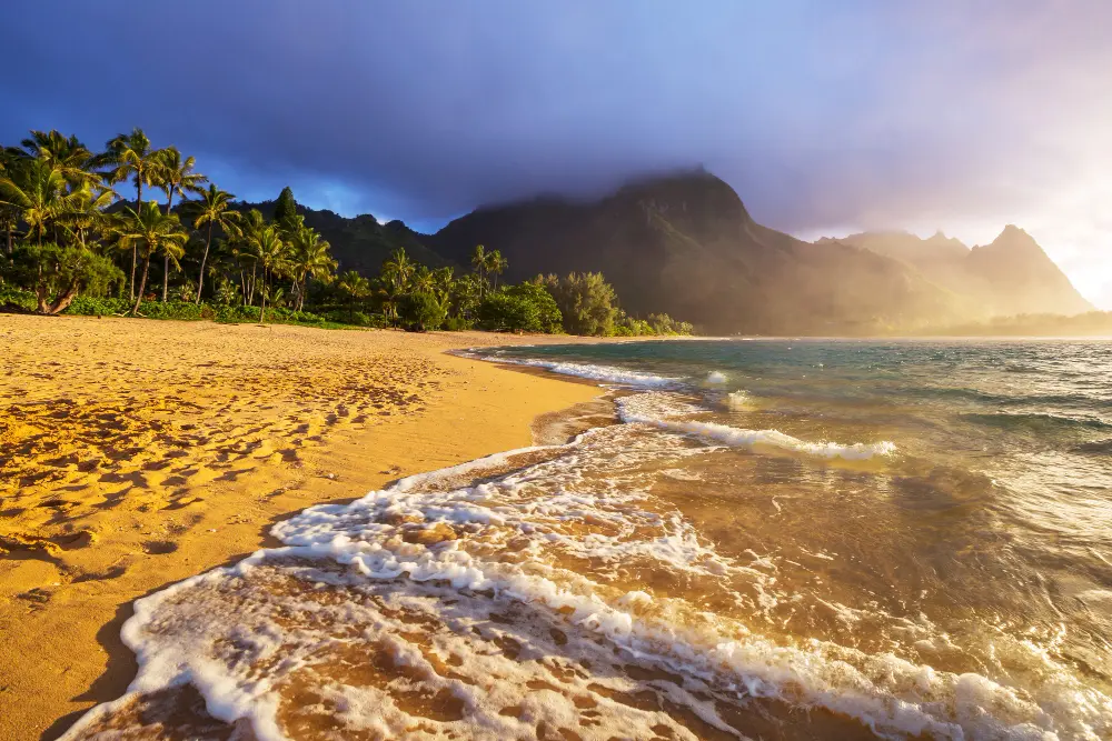 how much is a round trip plane ticket to hawaii travel planning with airplane and tropical beach