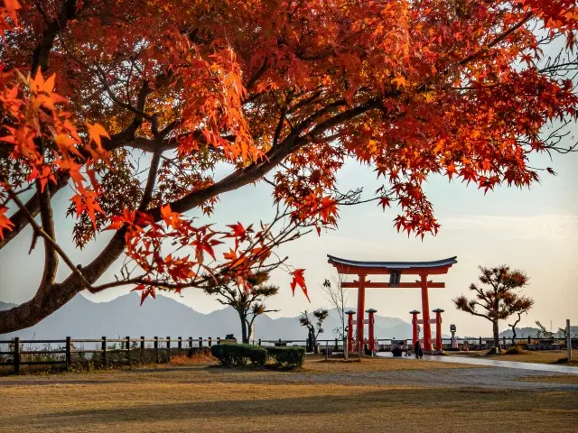 Bright red maple leaves framing a traditional temple in Kyoto during fall, illustrating what is the best time to travel to Japan for autumn foliage.