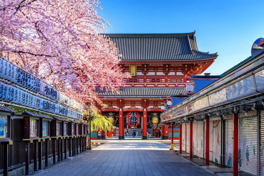 A person looking at a colorful budget spreadsheet with a background of the Tokyo skyline and Mount Fuji, illustrating how much to travel to japan.