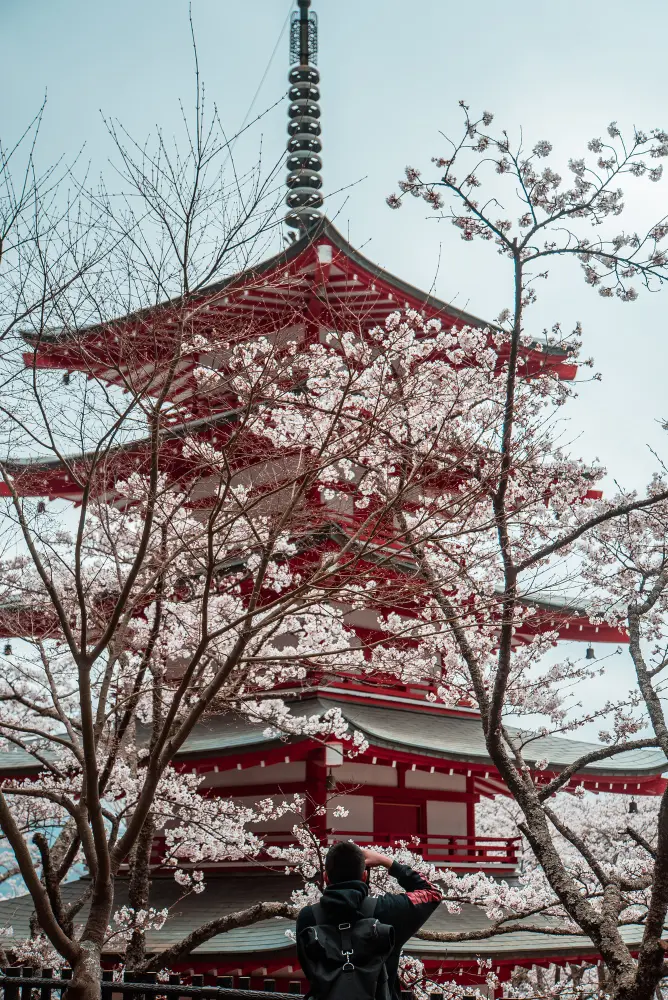 A scenic view of pink cherry blossoms framing a traditional pagoda in spring, highlighting how to travel in Japan during the best seasons.