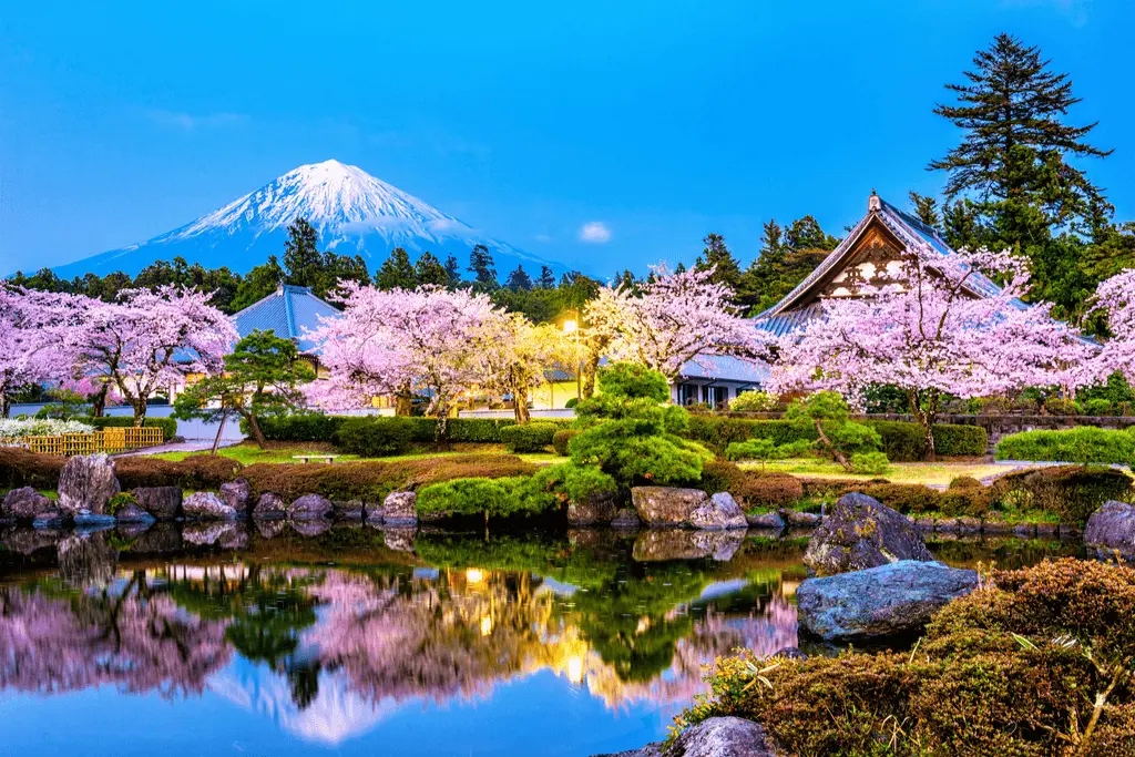 A serene park in Kyoto filled with blooming sakura trees, showing travelers what is the best time to travel to Japan for cherry blossoms.